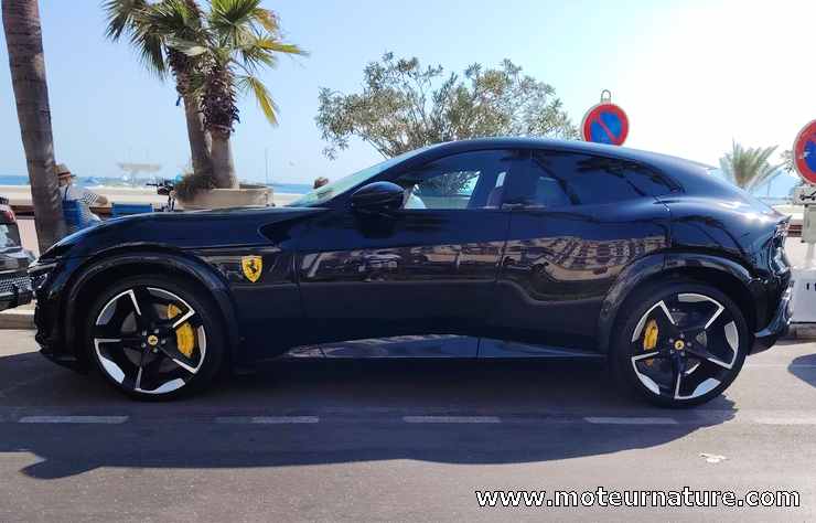 Ferrari Purosangue