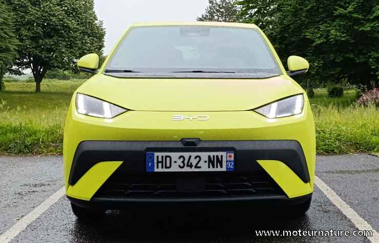 BYD Dolphin Surf électrique 43 kWh