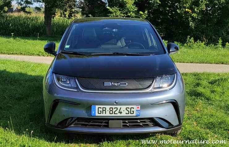 BYD Dolphin