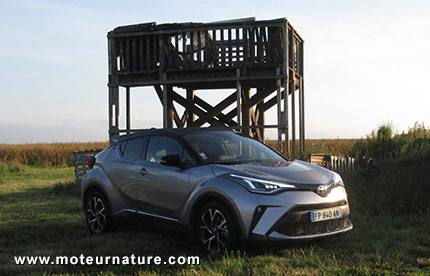 Toyota C-HR hybride 184 ch