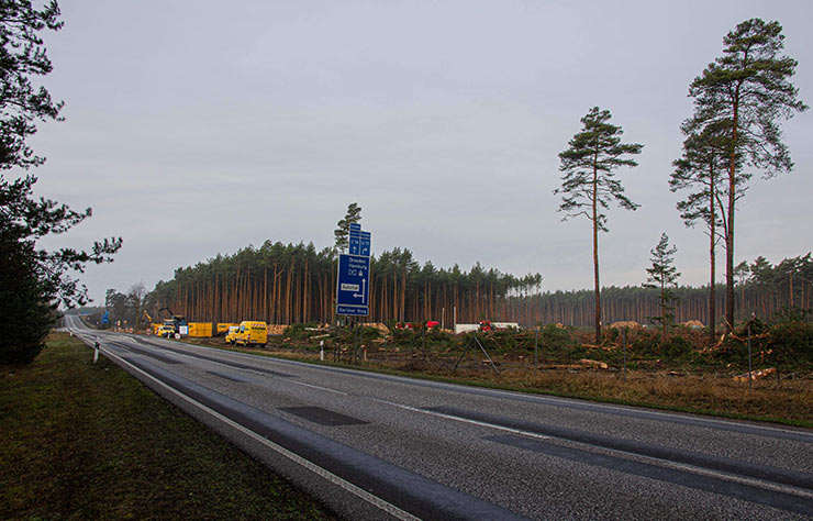Massacre forestier de Tesla pour construire la gigafactory 4