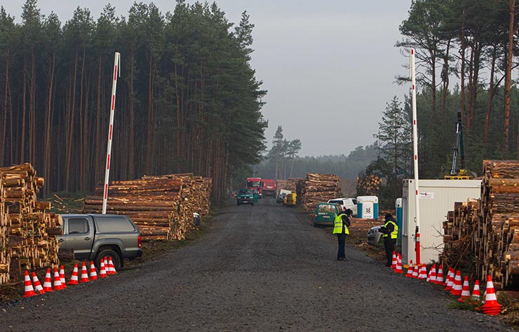 Massacre forestier de Tesla pour construire la gigafactory 4