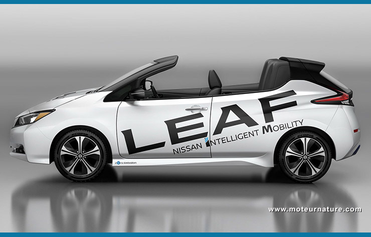 Nissan Leaf Targa