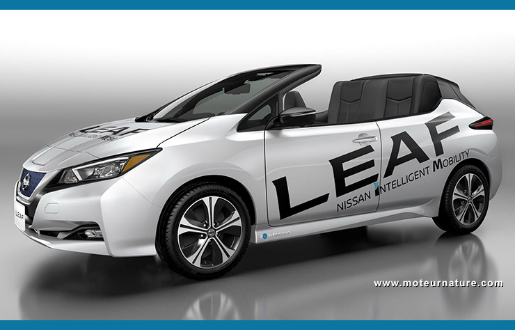 Nissan Leaf Targa