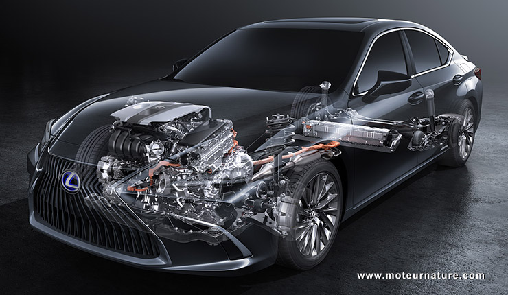 Lexus ES300h