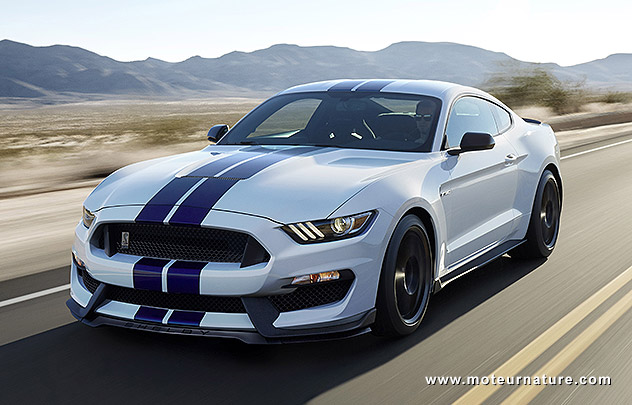 Shelby GT350