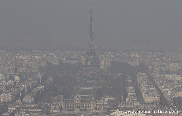 Pas de circulation alternée à Paris ce jour