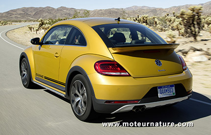 Coccinelle Dune, le capital de Volkswagen