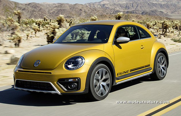 Volkswagen Beetle Dune