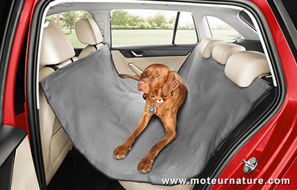 Skoda invente la ceinture de sécurité pour chien
