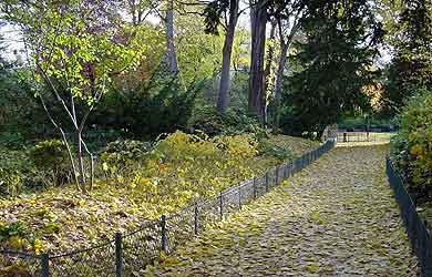 Le parc Monceau à Paris