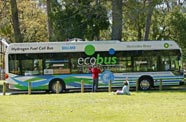 EcoBus