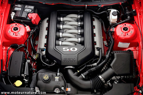 Ford Mustang V8