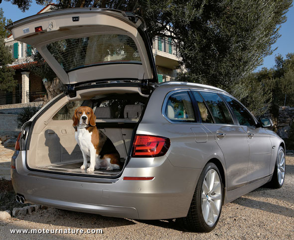 BMW série 5 Touring