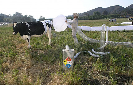 Récupération de méthane d'origine animale